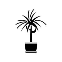 Dracaena black glyph icon. Potted ornamental houseplant. Dragon tree. Green indoor plant with spiky leaves. Natural home, office decor. Silhouette symbol on white space. Vector isolated illustration