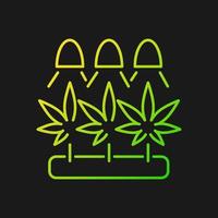 Icono de vector de gradiente de cultivo de cannabis para tema oscuro. cultivar hierbas bajo luz artificial. germinación de semillas de marihuana. símbolo de color de línea delgada. pictograma de estilo moderno. dibujo de contorno aislado vectorial