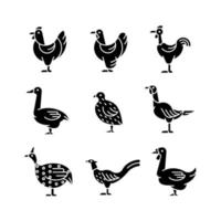 Domesticated birds black glyph icons set on white space. Chicken and geese growth. Bird raising for meat and eggs. Commercial poultry farming. Silhouette symbols. Vector isolated illustration