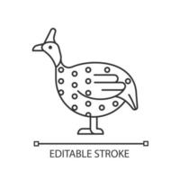 Guinea fowl linear icon. Domesticated bird. Helmeted guineafowl. African breed. Bird selection. Thin line customizable illustration. Contour symbol. Vector isolated outline drawing. Editable stroke