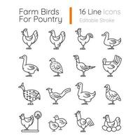 aves de granja para el conjunto de iconos lineales de aves de corral. aves domésticas. patos, cría de gansos. cría comercial de aves de corral. símbolos de contorno de línea fina personalizables. ilustraciones de contorno de vector aislado. trazo editable