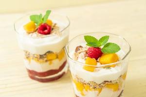 homemade mango and raspberry with yogurt and granola photo