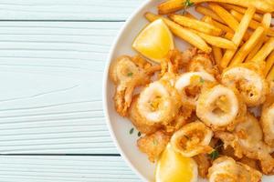 calamari - fried squid or octopus with fries photo