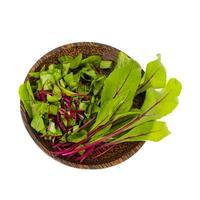Microgreen. Red beetroot sprouts for cooking vegetarian dishes. photo