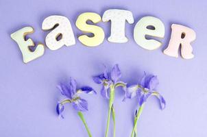 Easter composition, homemade cookies on bright background. photo