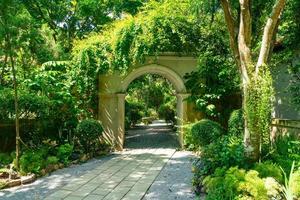 arco arqueado con árbol en el jardín foto