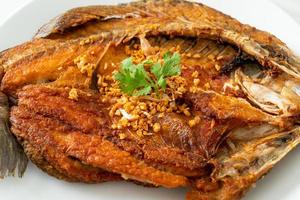 Fried Sea Bass Fish with Garlic photo