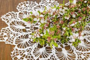 Prunus tomentosa branch with green leaves and blossoming tender flowers. photo