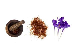 Spice saffron and fresh crocus flowers isolated on white background. photo