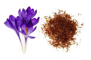 Spice saffron and fresh crocus flowers isolated on white background. photo