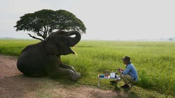 Blogger de Tailandia o turista de vlog disfrutando con un elefante y un café por la mañana en el campo de arroz verde. video
