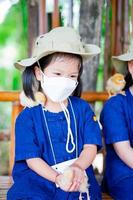 Cute girl holding chick. Small chicken sits on little girl's shoulder. Children wear white mask to prevent spread virus and PM2.5 air pollution.