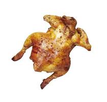 Roasted chicken on white background photo