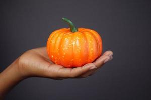 hand hold a small pumpkin against gray background photo