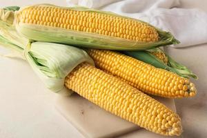 Junta con mazorcas de maíz frescas sobre fondo claro