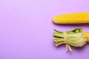Fresh corn cobs on color background, closeup photo