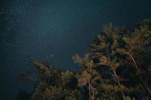 Vía Láctea y estrellas nocturnas en los campos. foto