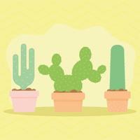 gruop of three cactus icons vector