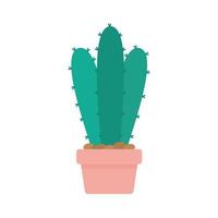 Cactus con un color verde y sobre una maceta sobre un fondo blanco. vector