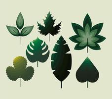 paquete de iconos de hojas con color verde vector