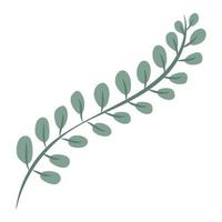 oval leaves branch vector