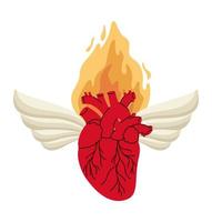 realistic heart with wings vector