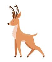 beautiful reindeer illustration vector