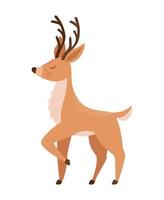 cute brown reindeer vector