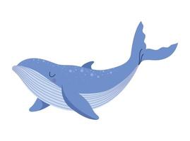 nice blue whale vector