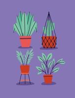 four garden plants vector