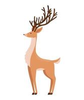 nice reindeer design vector