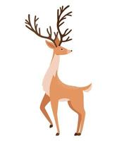 nice reindeer illustration vector