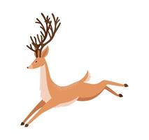 cute reindeer illustration