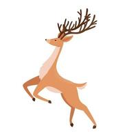 cute reindeer design vector