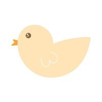 chick on a white background vector