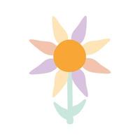 sunflower with differents color on a white background vector