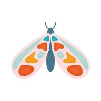 mariposa dibujada a mano con diferentes colores vector