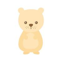 teddy on a white background vector