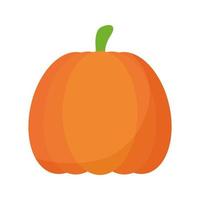 calabaza con un color naranja vector