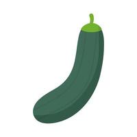 cucumber with a green color vector