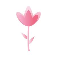 flower with a pink color vector