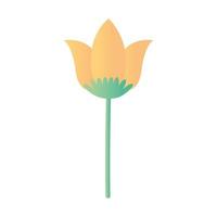 tulip with a green and yellow color on the top vector