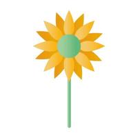 sunflower with a yellow color vector