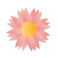 sunflower with a ligth pink color vector