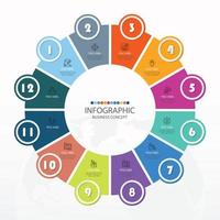 Basic circle infographic template with 12 steps. vector