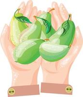 Open hands with pears vector