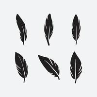 Feather set collection vector