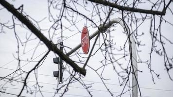 Traffic stop sign half hidden behind the trees and bushes. photo