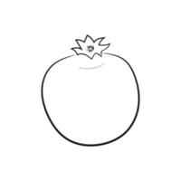 icono de arte de línea vintage con dibujo de Granada aislado sobre fondo blanco. Ilustración dibujada a mano para diseño web. icono de doodle de granate de fruta. ilustración de contorno vectorial vector