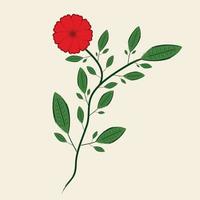 hermosa rama de flor roja dibujada a mano y hojas botánico floral papel tapiz ilustración vectorial arte vector